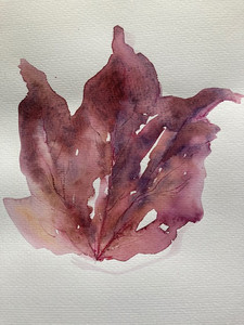 Debbie. Autumn medley 4, watercolour. 10.20.jpg